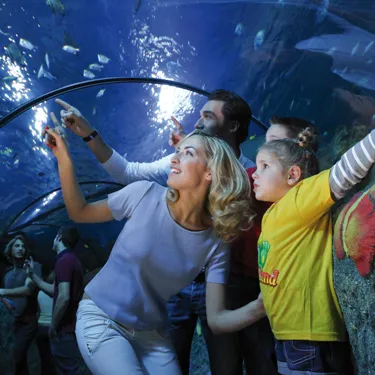 Gardaland SEA LIFE Aquarium (7)