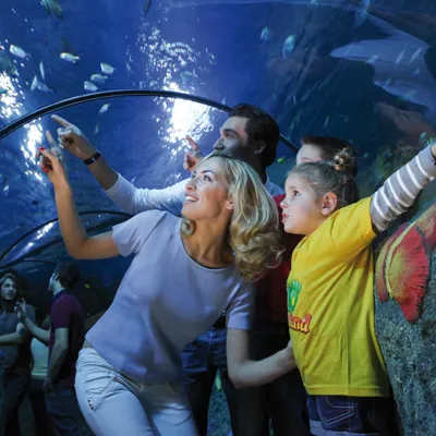Ozean-Tunnel - Gardaland SEA LIFE Aquarium