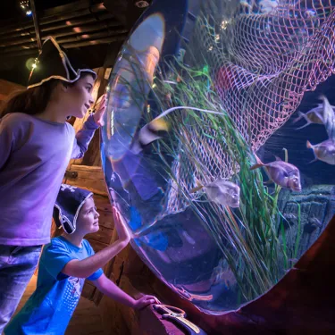 Gardaland SEA LIFE Aquarium - Relitto