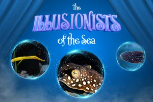 KV SEA LIFE BLACK BOX 1920X1080 UK