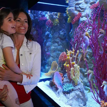 Gardaland SEA LIFE Aquarium - Il Magico Regno dei Cavallucci Marini