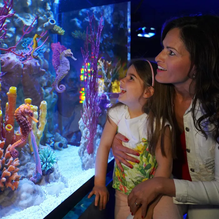 Gardaland SEA LIFE Aquarium - Mamma con bambina