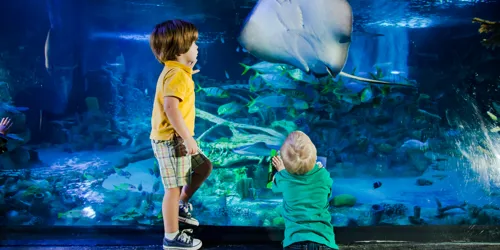 Gardaland SEA LIFE Aquarium - Bambini