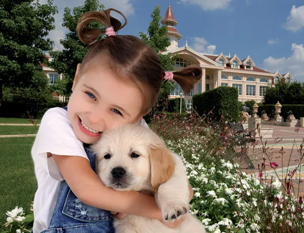 Visual Dog Friendly