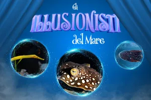 KV SEA LIFE BLACK BOX 1920X1080 NIENTE