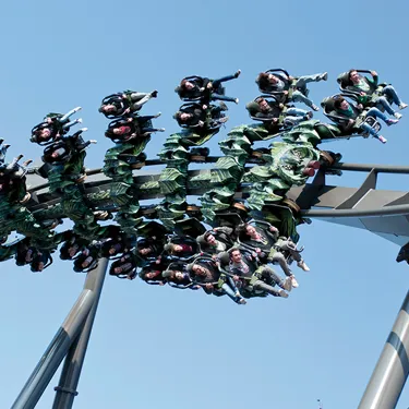 Raptor 005