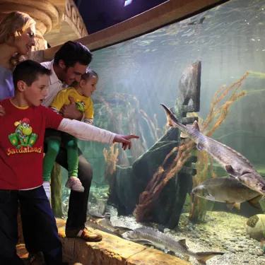 Gardaland SEA LIFE Aquarium - Acque Dolci