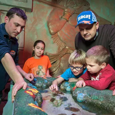 Gardaland SEA LIFE Aquarium - Vasche interattive