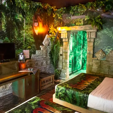 Camera Jumanji - Ingresso