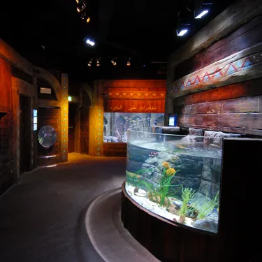 Gardaland SEA LIFE Aquarium - Porto